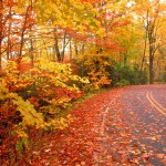 New England Fall New England Fall