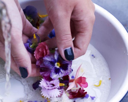 handspa_beskuren handspa_beskuren