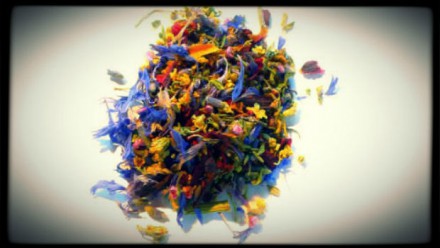 vildblommor_ram