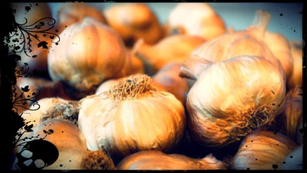 garlic_scull