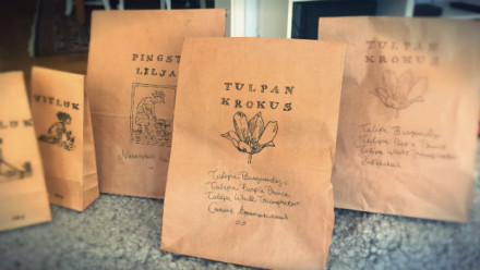 odds_n_ends_tulip_fix_620x350