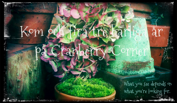 Treårskalas på Cranberry Corner
